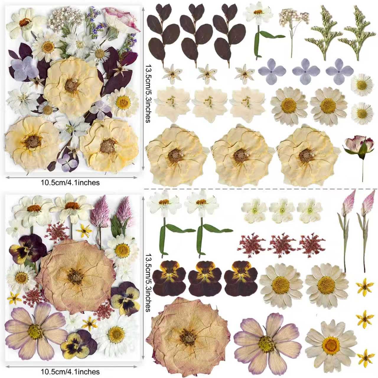 TrendCart Boho 88Pcs Real Natural Dried Pressed Flowers for DIY Crafts, Resin Jewelry, Scrapbooking, Frame Decor + Free 66Pcs Butterfly Stickers & Tweezers