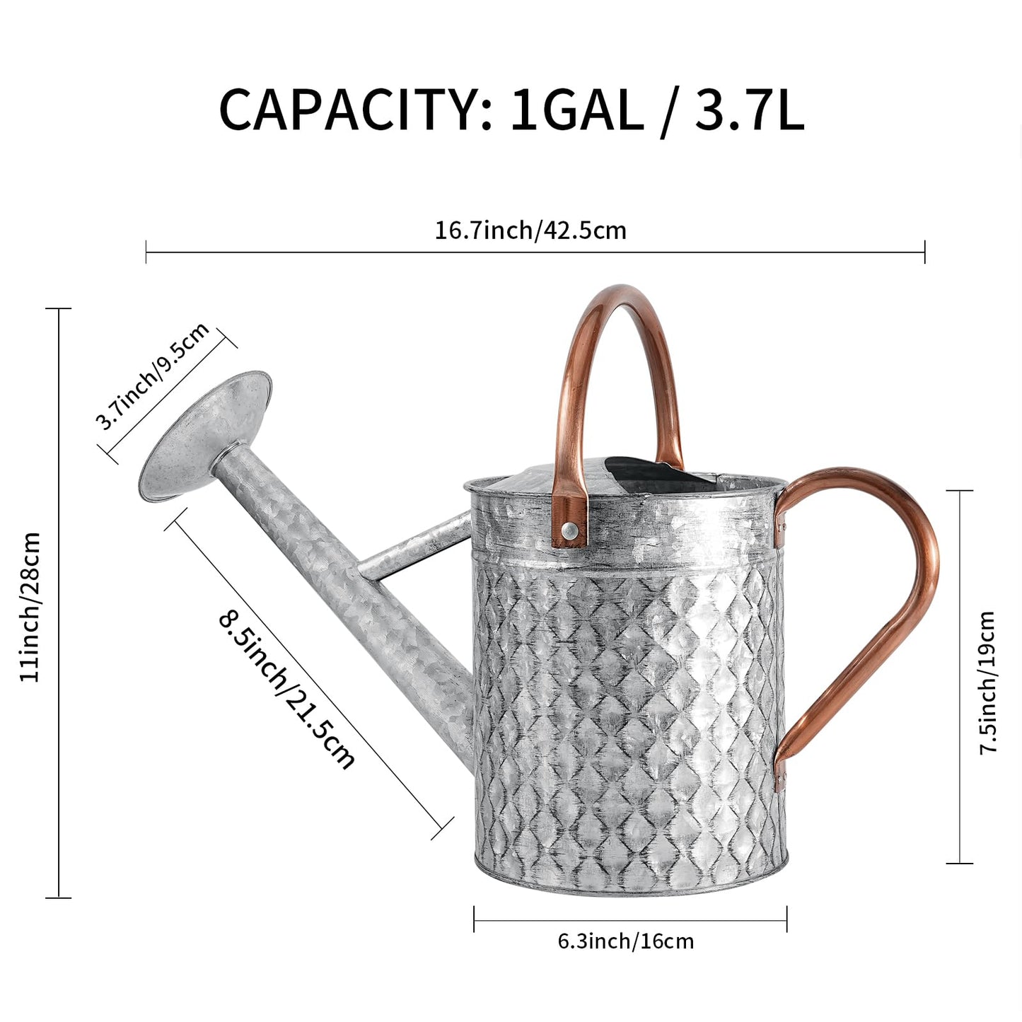 BLstyle 1 Gallon Metal Watering Can for Outdoor Indoor Plants, Galvanized Watering Can with Removable Spray Spout, Ideal for Garden Watering