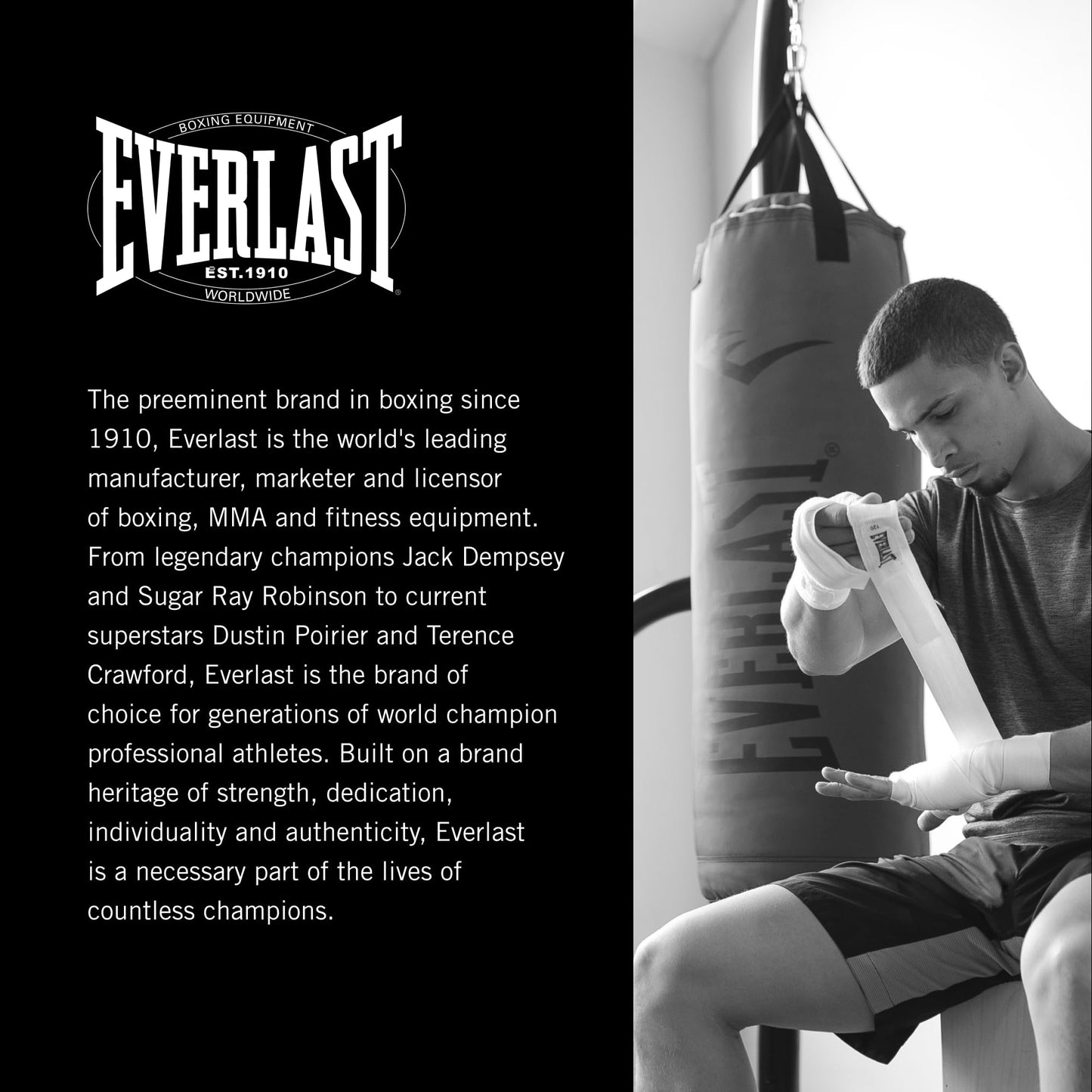 Everlast Elite 2 Heavy Bag (70 LB) with Wood Beam Heavy Punching Bag Hanger, Durable Boxing Heavy Bag for Home Training