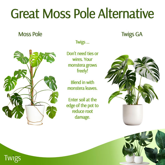Twigs GA - Stackable Monstera Plant Support Stakes, Climbing Support for Indoor & Outdoor Use, Plant Accessories, Aesthetic Alternative to Moss Poles & Trellises – Monstera Green, 5 Pack, 17" L