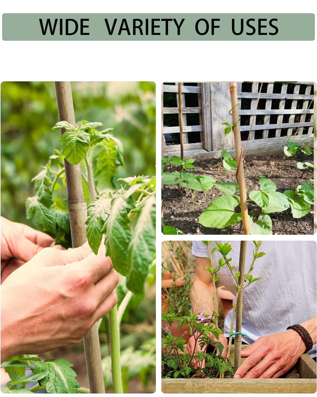 5 Ft Bamboo Stakes with 100 Twist Ties Natural Bamboo Garden Stakes for Tomatoes Cucumber Grapes Pole Beans Trees Potted Dahlia Flowers and Climbing Plants - Pack of 20 (58in, Approx 5FT)