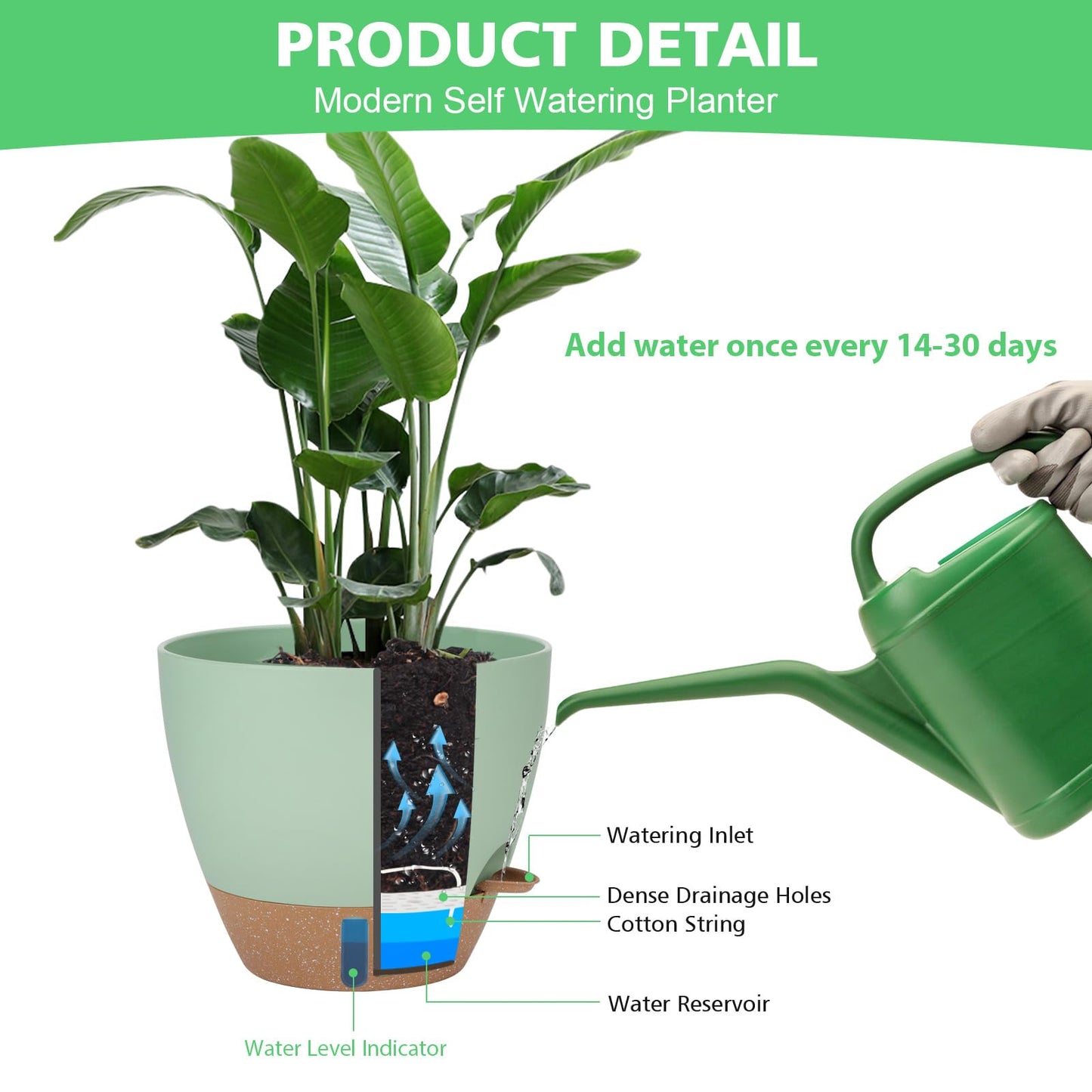 Self Watering Planter Set with Visual Water Level, 6Pack Small Plastic Pot with Drainage Holes and Reservoir Saucers, Modern 8+7+6.5+6+5.5+5 Inch Bottom Watering Flower Pots for Indoor Plant - Green