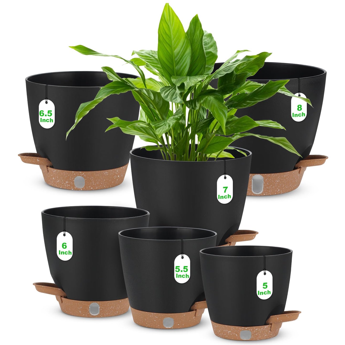 Self Watering Planter Set with Visual Water Level, 6Pack Small Plastic Pot with Drainage Holes and Reservoir Saucers, Modern 8+7+6.5+6+5.5+5 Inch Bottom Watering Flower Pots for Indoor Plant - Black