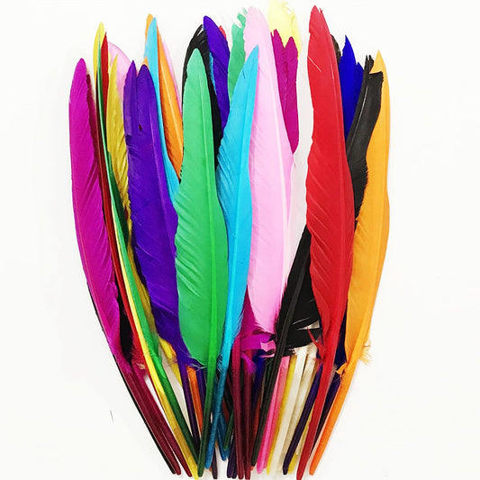 48pcs Colorful Goose Feathers 10-12 inches Long,12 Colors,Beautiful Bulk Colored Crafts Natural Feathers for Crafts (26-31cm),for Wedding Dress and Party Decoration,DIY Fabricating Handicraft Article