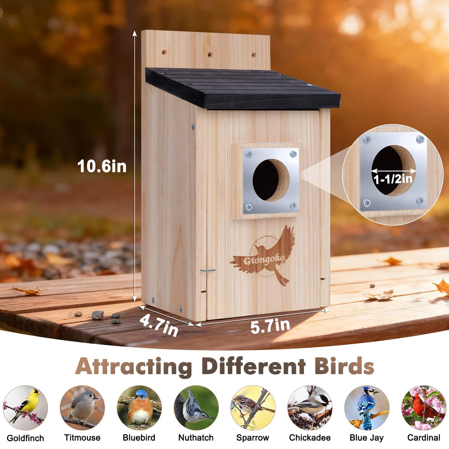 Gtongoko 2 Pack Bird Houses for Outside, Bluebird Nesting Box with Metal Predator Guard, Wooden Birdhouse Kit for Chickadees, Swallows & Finches, Assembly Required