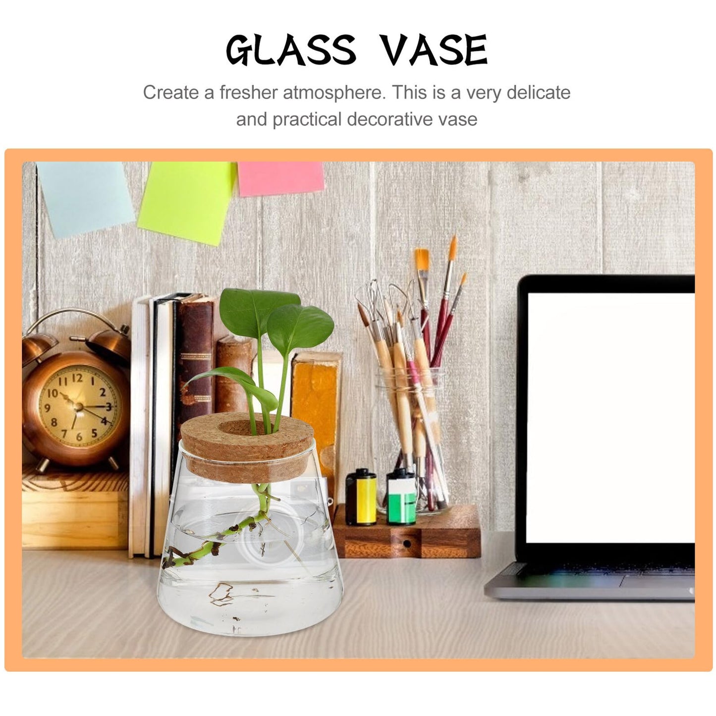 CONGARTENO 2pcs Glass Terrarium Vases for Hydroponics Plants, Small Glass Containers with 6.5cm Opening, Desktop Plant Holders for Office and Home Gardening