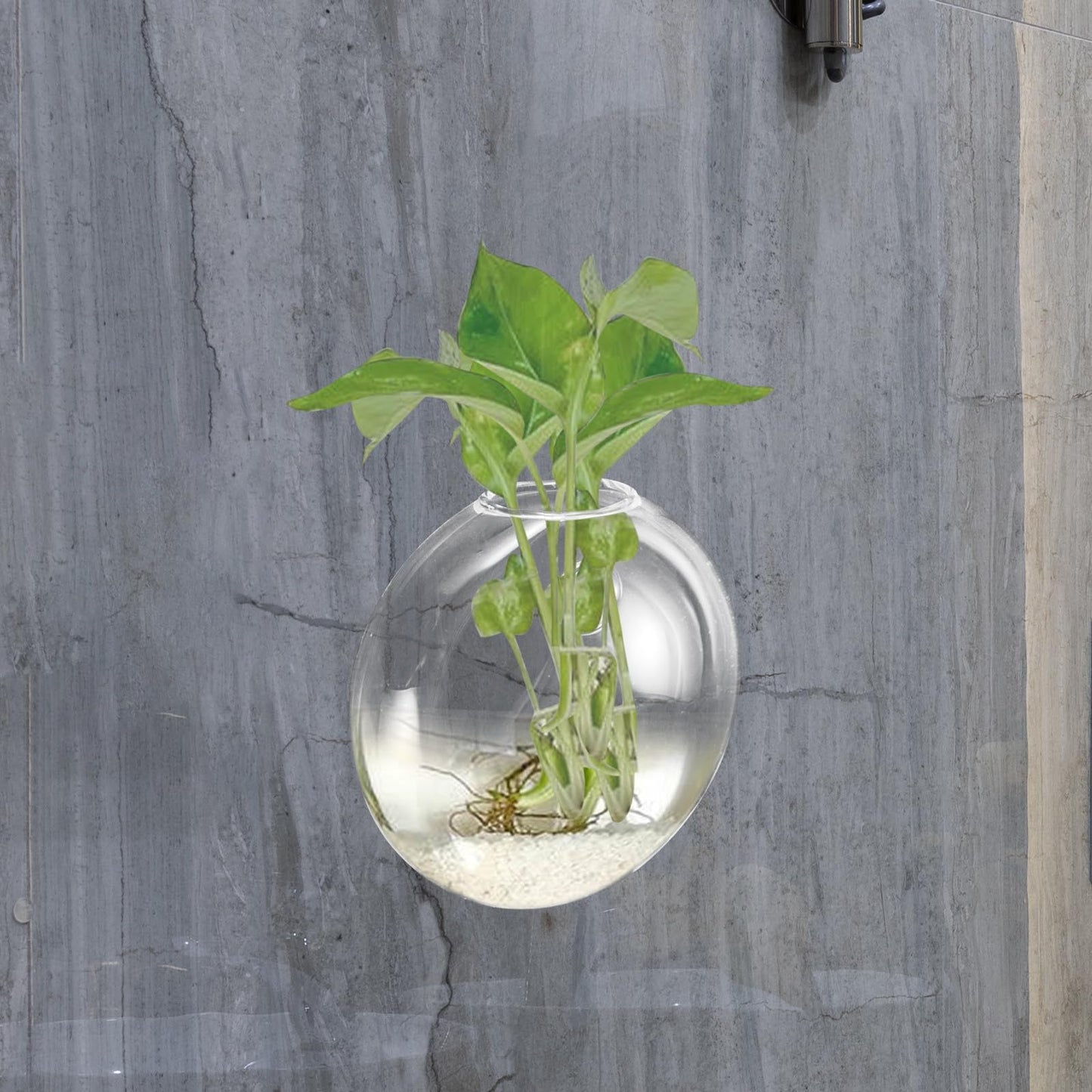GALPADA Wall Hanging Hydroponic Glass Terrarium Planter Vase Flat Glass Plant Pot for Indoor Home Décor, Single Piece