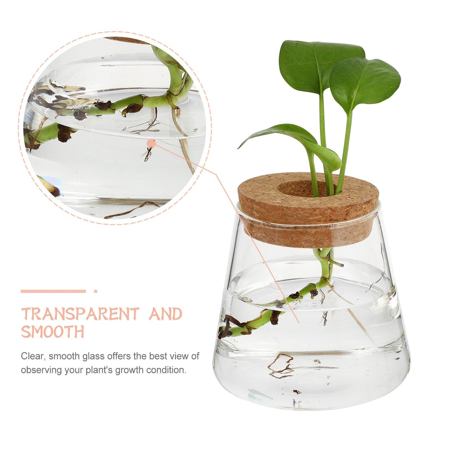BESPORTBLE 2pcs Hydroponic Glass Vases 400ml with Cork Lid 6.5cm Opening Diameter Desktop Plant Terrariums for Hydroponics and Garden Decoration