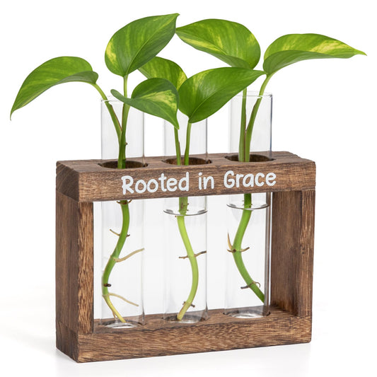 LBCIGOR Rooted in Grace Propagation Station – Wooden Plant Holder with 3 Glass Vases, Indoor Rooting Station for Cuttings, Christian-Inspired Gift for Women, Birthday, Housewarming, Plant Lover Décor