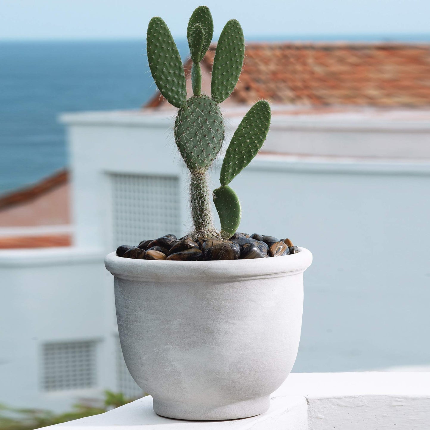 Crescent Garden Agave Planter, Classic Lightweight Resin Planter - UV-Resistant Flower Pots - Indoor & Outdoor Pot for Flowers, Houseplant, Herbs, 21" W x 17" H (Rust)