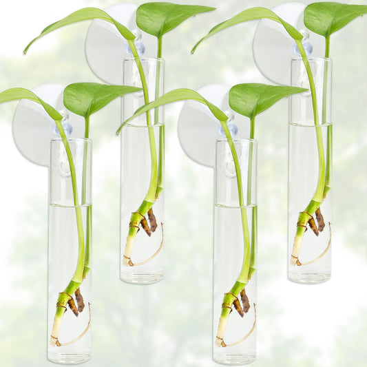 FOWSRHRG 4PCS Wall Hanging Planter Propagation Stations, Plant Tube with Suction Cup Hook, Test Tube Propagation Station Wall Clear Plant Vase No Nails with Bottle Brush Flower Plant Terrarium