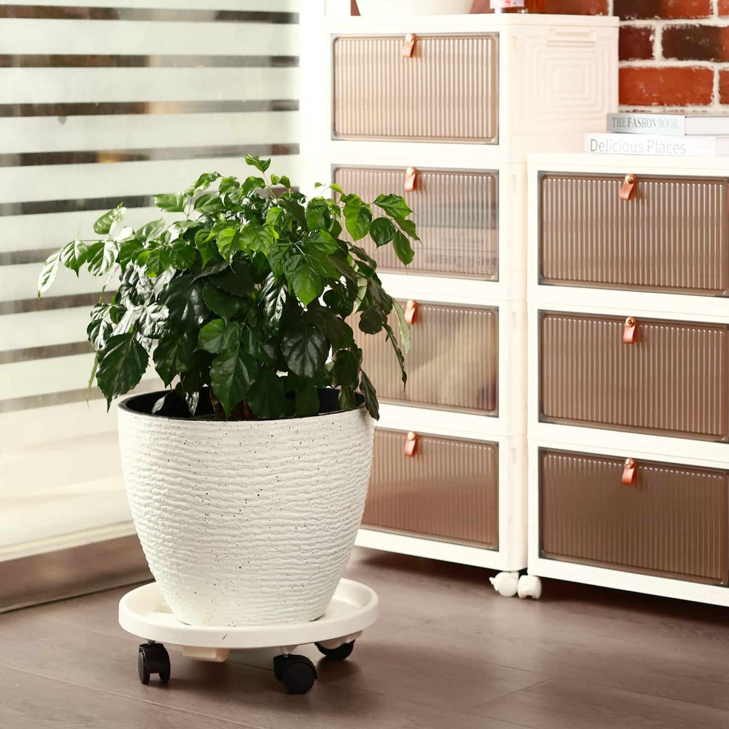 3 Pack Large Plant Caddy with Wheels 15.8" Rolling Plant Stands Heavy-duty Plastic Plant Roller Base Pot Movers Plant Saucer on Wheels Indoor Outdoor Plant Dolly with Caster Planter Tray Coaster White