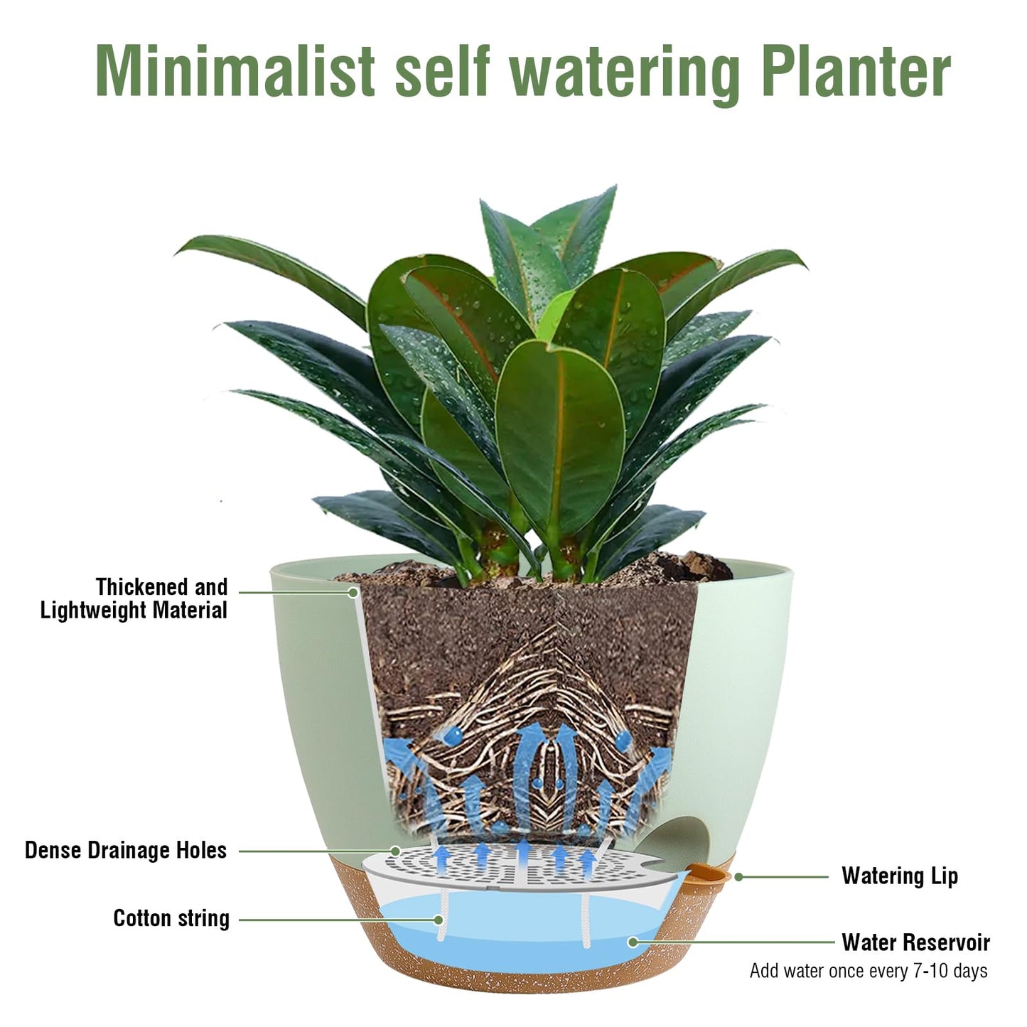 Meowell 12 inch Large Self Watering Pots, Plant Pots with Mesh Drainage Holes for Indoor Outdoor Plants, Plastic Planters with Deep Reservoir for Garden House Flower Plants, Green with Brown