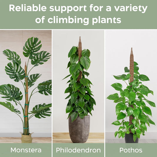 2 Pack 48'' Bendable Moss Pole Monstera Plant Support for Climbing Indoor Plants - Stakes for Potted Climbers - Tall Sticks Indoor Trellis for Houseplants - Accessories for Monstera Pot