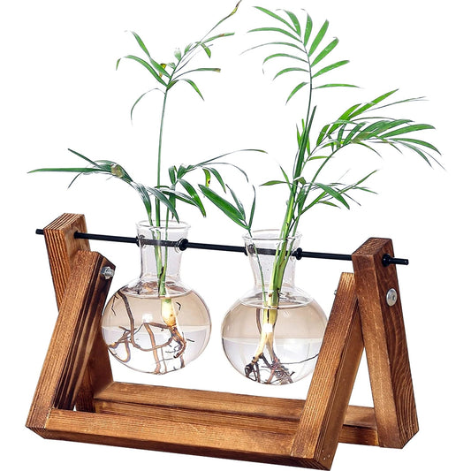 Kingbuy Glass Desktop Planter with Retro Wooden Stand and Plant Terrarium vase (2 Bulbs) for Indoor Office Desk Decor Accessories