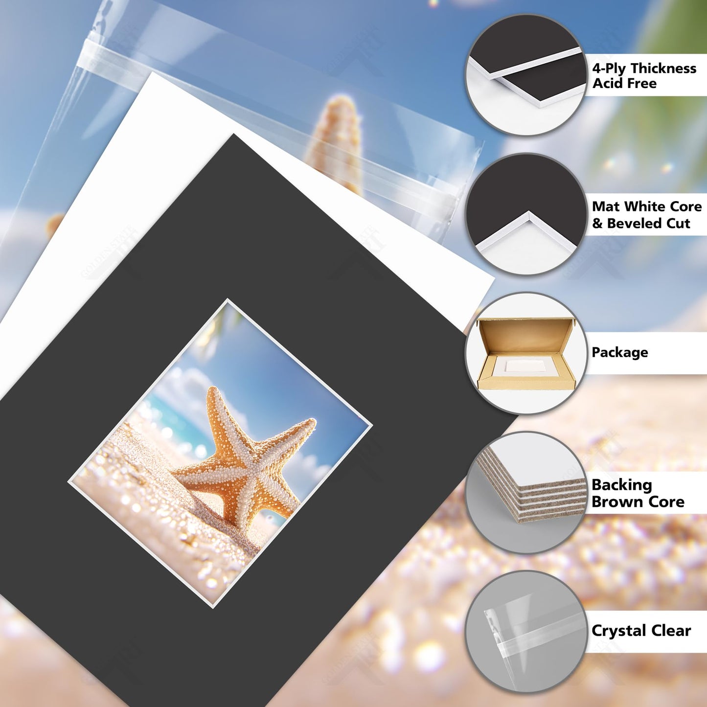 Golden State Art, Acid Free, Pack of 5, 16x20 Black Picture Mats Mattes with White Core Bevel Cut for 8x10 Photo + Backing + Bags