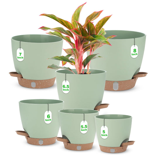 Self Watering Planter Set with Visual Water Level, 6Pack Small Plastic Pot with Drainage Holes and Reservoir Saucers, Modern 8+7+6.5+6+5.5+5 Inch Bottom Watering Flower Pots for Indoor Plant - Green