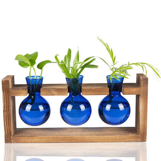Kingbuy Glass Plant Terrarium Propagation Station - 3 Bulb Colored Vases with Retro Wood Stand Indoor Garden Planter - Wall Mounted & Desktop Decor for Home Kitchen Wedding, Gift for Plant Lover, Blue