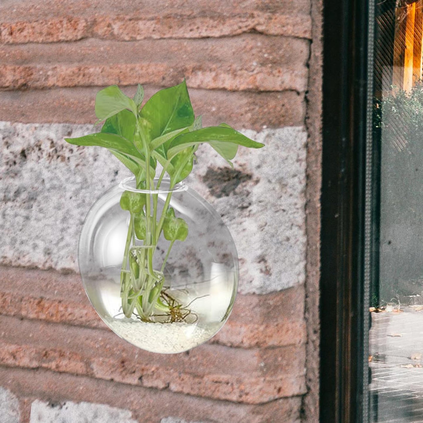GALPADA Wall Hanging Hydroponic Glass Terrarium Planter Vase Flat Glass Plant Pot for Indoor Home Décor, Single Piece