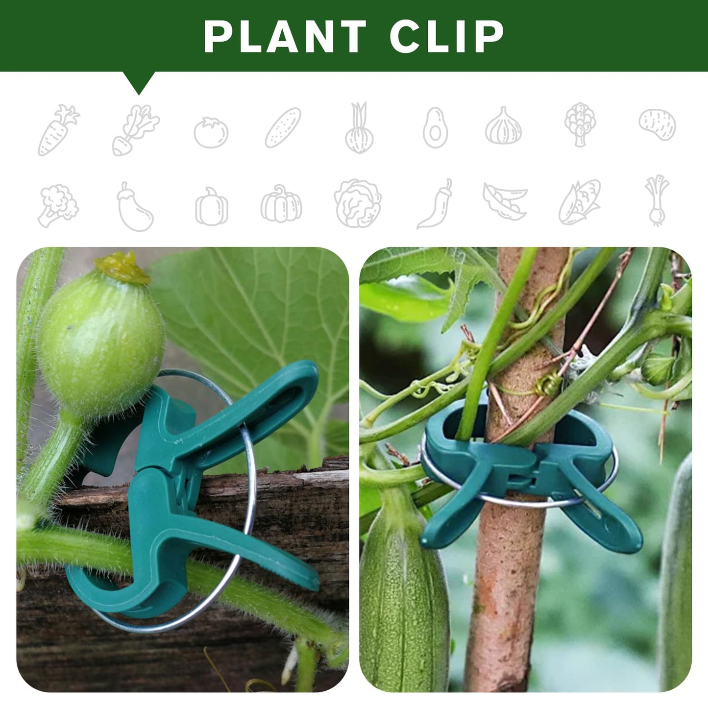 Iniscape A Plant Clamp Used for Climbing Plants,Horticultural Clip Used to Support Climbing of Flower Stems, Vines, Vegetables, and Tomatoes,Vine Clip for Garden Vine Training (Green, 120big)