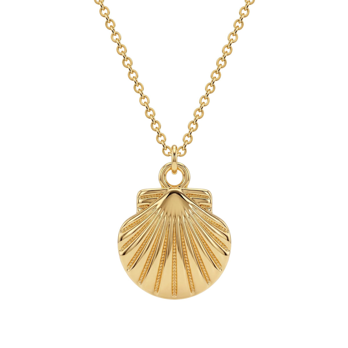 Dremmy Studios Shell Dainty Necklace for Women 14K Gold Plated Boho Summer Beach Coastal Pendnat Necklace for Women Summer Jewelry Gift