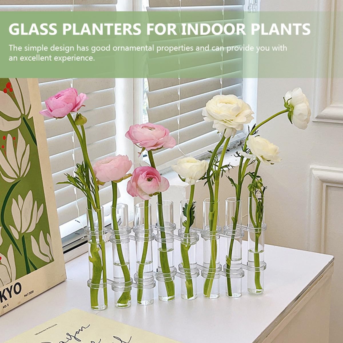 Toyvian Glass Vase for Indoor Plants Propagation Tubes Large Test Tube Flower Vase with Brush 8pcs Set Hydroponic Home Decor Terrarium Pot