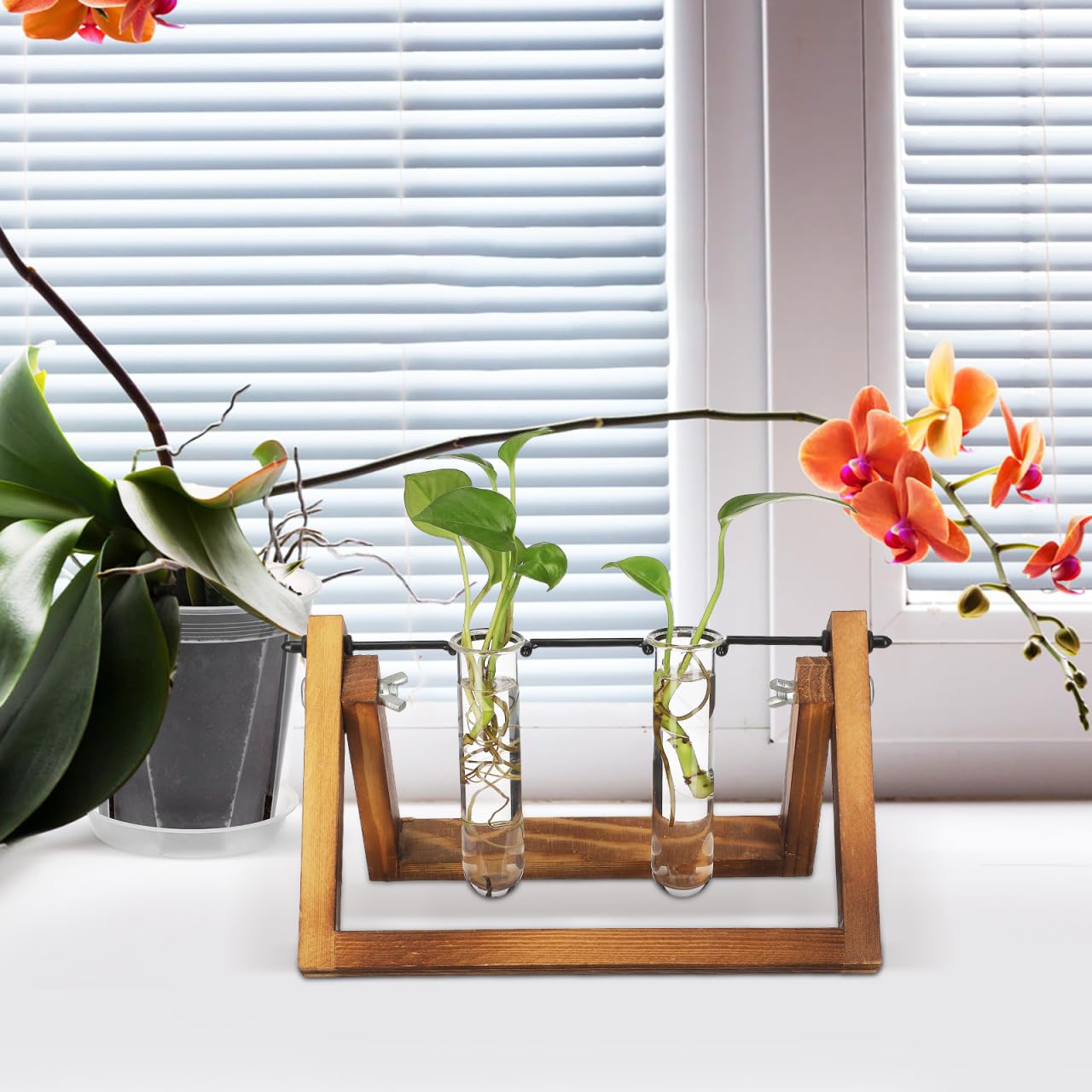 Housoutil Glasstubes for Plants, 5PCS Propagation Tubes for Plants, Glass Test Pipe Vase for Scientific Experiments, Desktop Party Home Office Decor, Flowers Desktop, Indoor Hydroponic Station