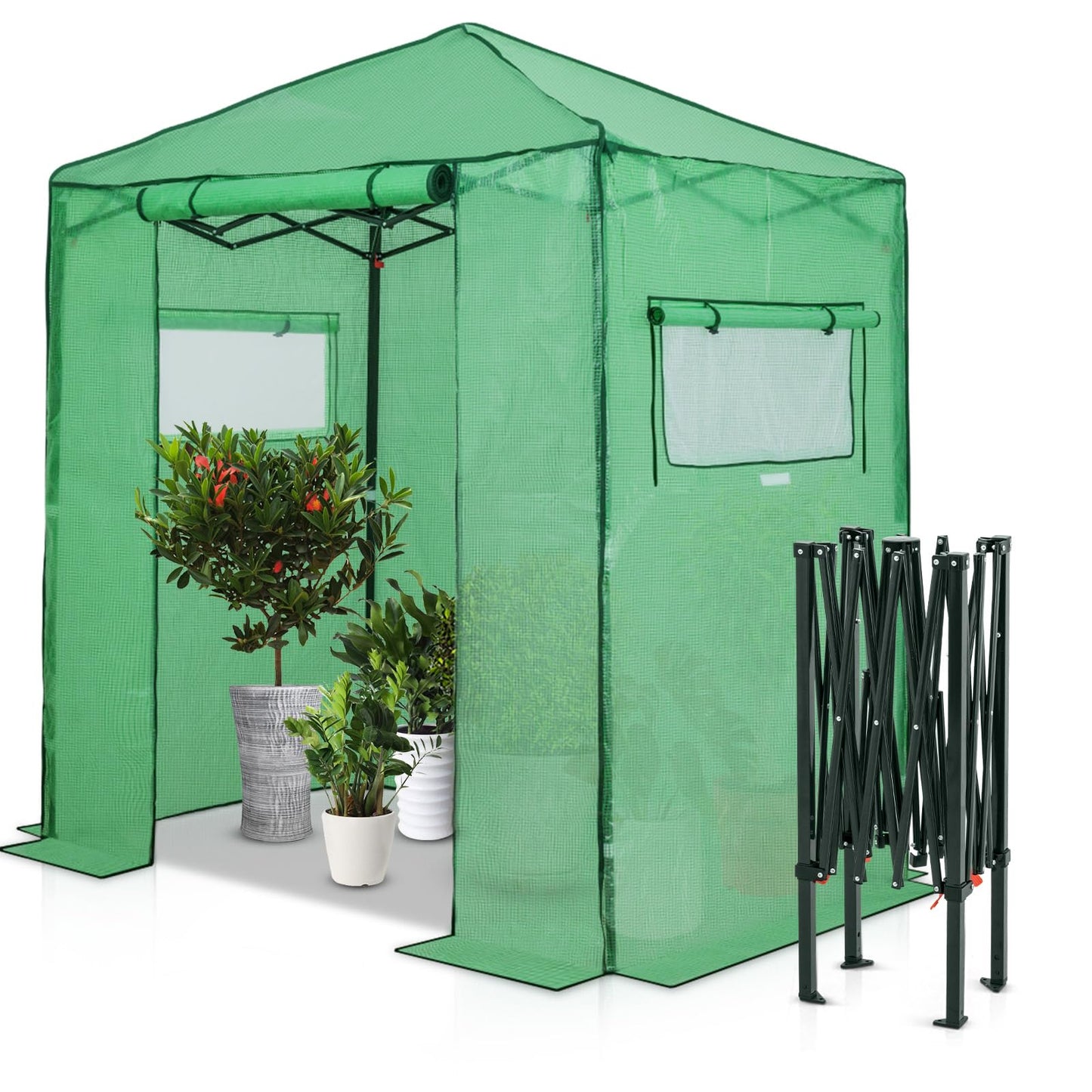 EAGLE PEAK Instant Pop-up Greenhouse, Indoor Outdoor Plant Gardening Green House, Roll-Up Zipper Doors and Side Windows, Walk in 6x4 ft, PE Cover, Green/Clear