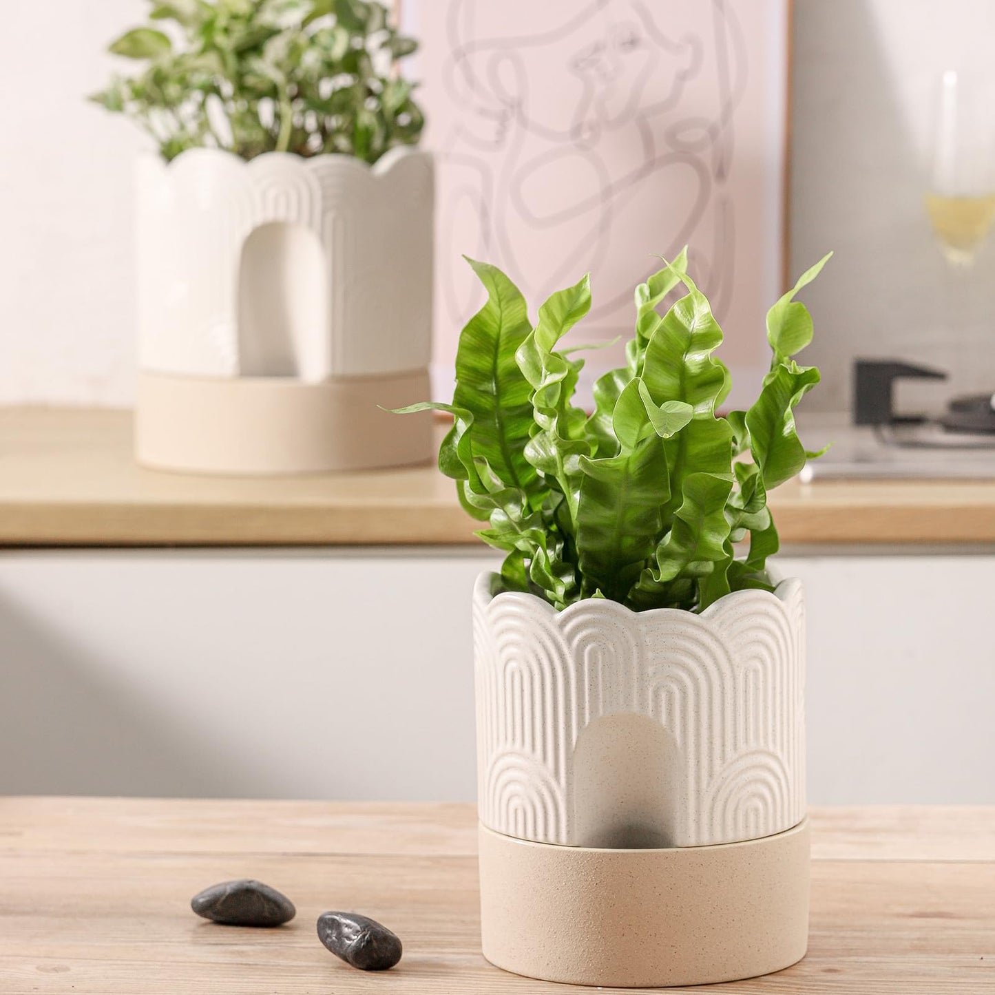 Nihow Self Watering Plant Pot: 6 Inch Ceramic Planter with Drainage Hole & Water Storage Plus - Relief Design Self Watering Pot for Indoor Plants - Beige & Nature Flower Pot