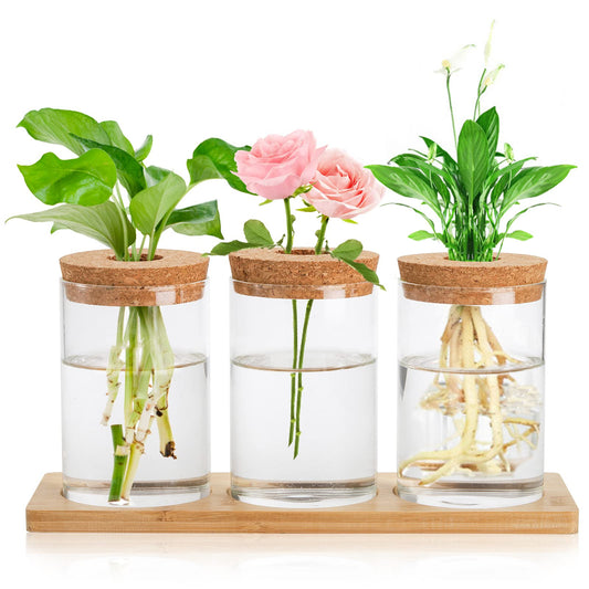 Lawei 3 Pcs Plant Terrarium Propagation Stations, Tabletop Glass Water Planting Glass Vase with Wooden Tray, Clear Jars Containers for Grow Hydroponic Plants Home Office Decoration
