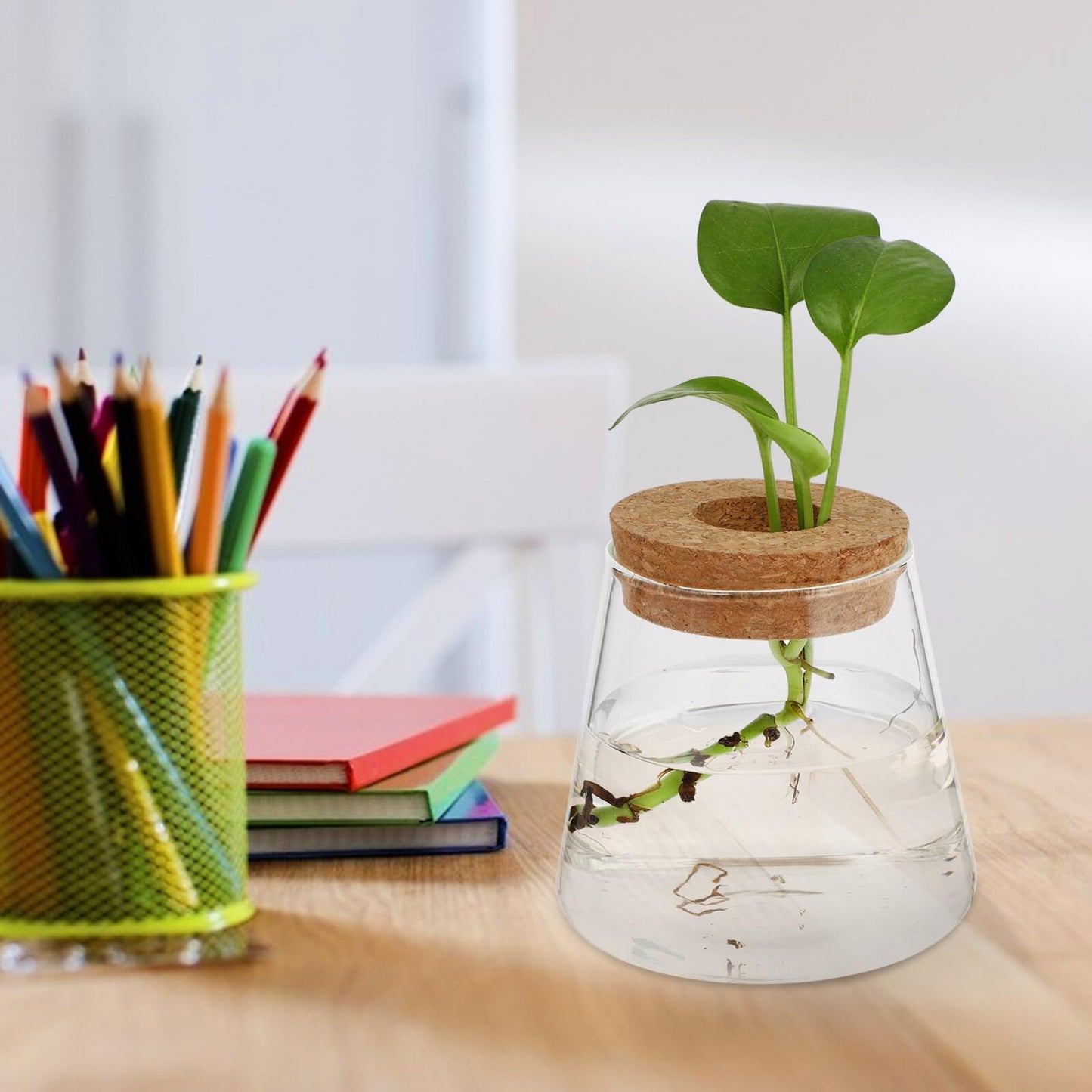 CONGARTENO 2pcs Glass Terrarium Vases for Hydroponics Plants, Small Glass Containers with 6.5cm Opening, Desktop Plant Holders for Office and Home Gardening