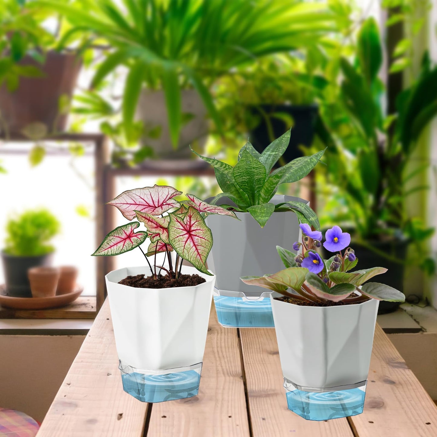 Samhe 3 Pack Self Watering Planter Pots, 4.9 Inch African Violet Pots for Indoor Outdoor Windowsill Gardens, Plant Pot with Wick Rope and Reservoir