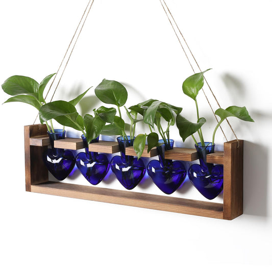 Plant Terrarium Hanging Propagation Stations Gift for Women Air Plants Holder with Wooden Stand Heart Glass