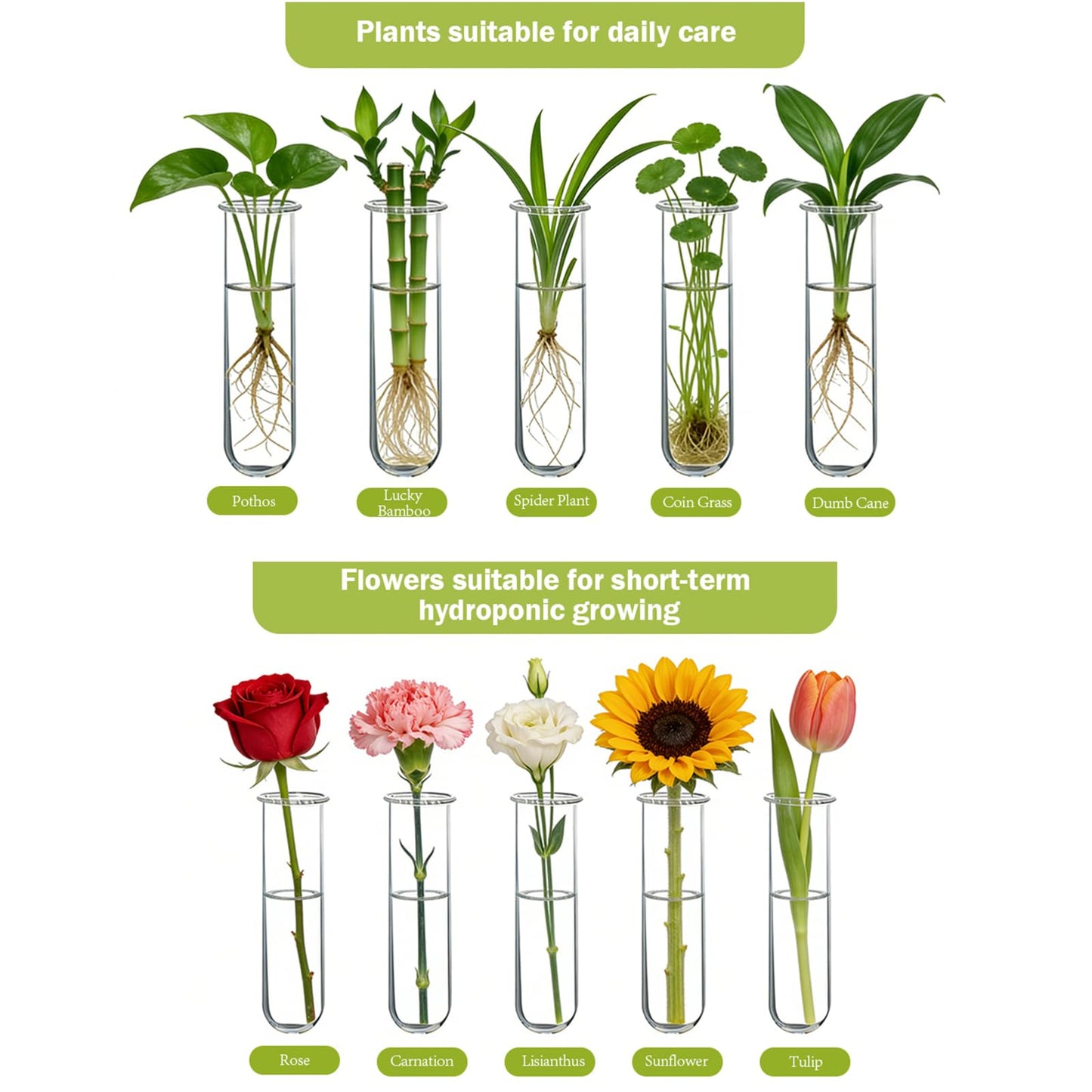 XXXFLOWER Wall Hanging Propagation Station with Wooden Stand 5 Glass Test Tubes 3 Tiered Planters Wall Terrarium for Home Office Plant Hanger Flower Vases Wall Decor Hydroponic Cuttings
