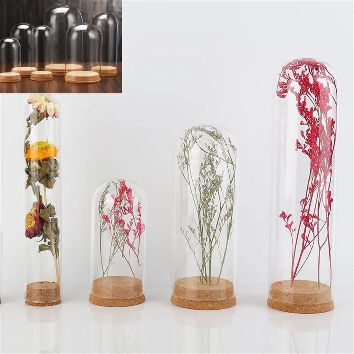 10X Da30mm Glass Bottle Terrarium Jar Cork Base Dome Dust Cover DIY Specimen Succulent Plant Micro Landscape Flower Vase Display(30x100cm)