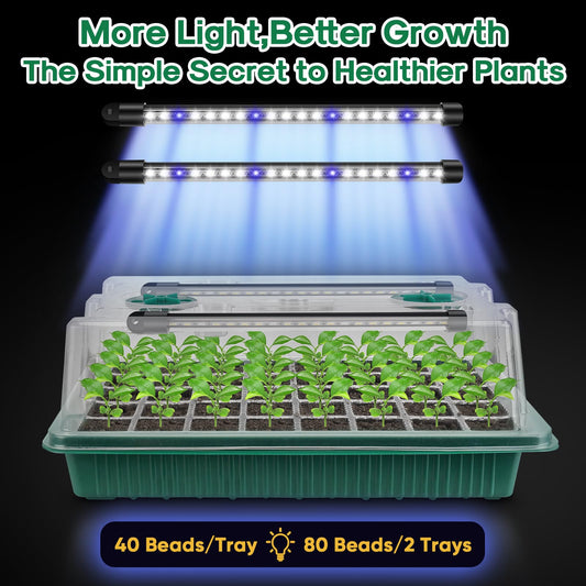 BlumWay Seed Starter Tray with Grow Light,2 Pack 80 Cells Seedling Tray Kit with Humidity Dome/Indoor Plant Starter Kit, Adjustable Brightness Plant Germination Trays-Green
