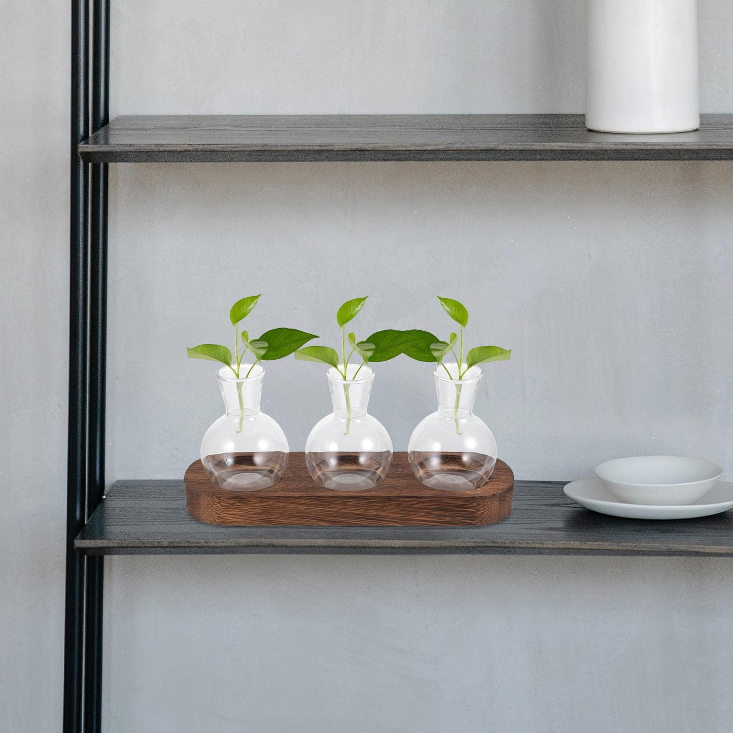 INOOMP Glass Floral Vase Set with Wooden Base, Hydroponic Plant Terrarium for Office and Living Room Desktop Decoration, 3pcs Small Glass Vases for Home Flower Centerpieces