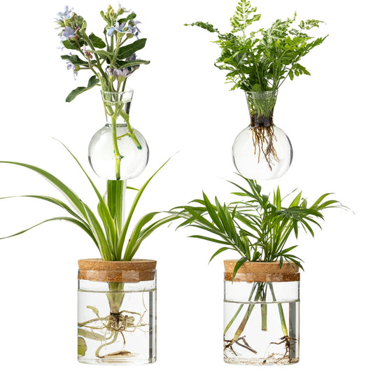 Plant Propagation Stations, 2 Style Glass Planter Terrariums, Propagation Vases for Plant, Plant Propagation Jars for Hydroponic Planter Home Office Tabletop Decoration (4)