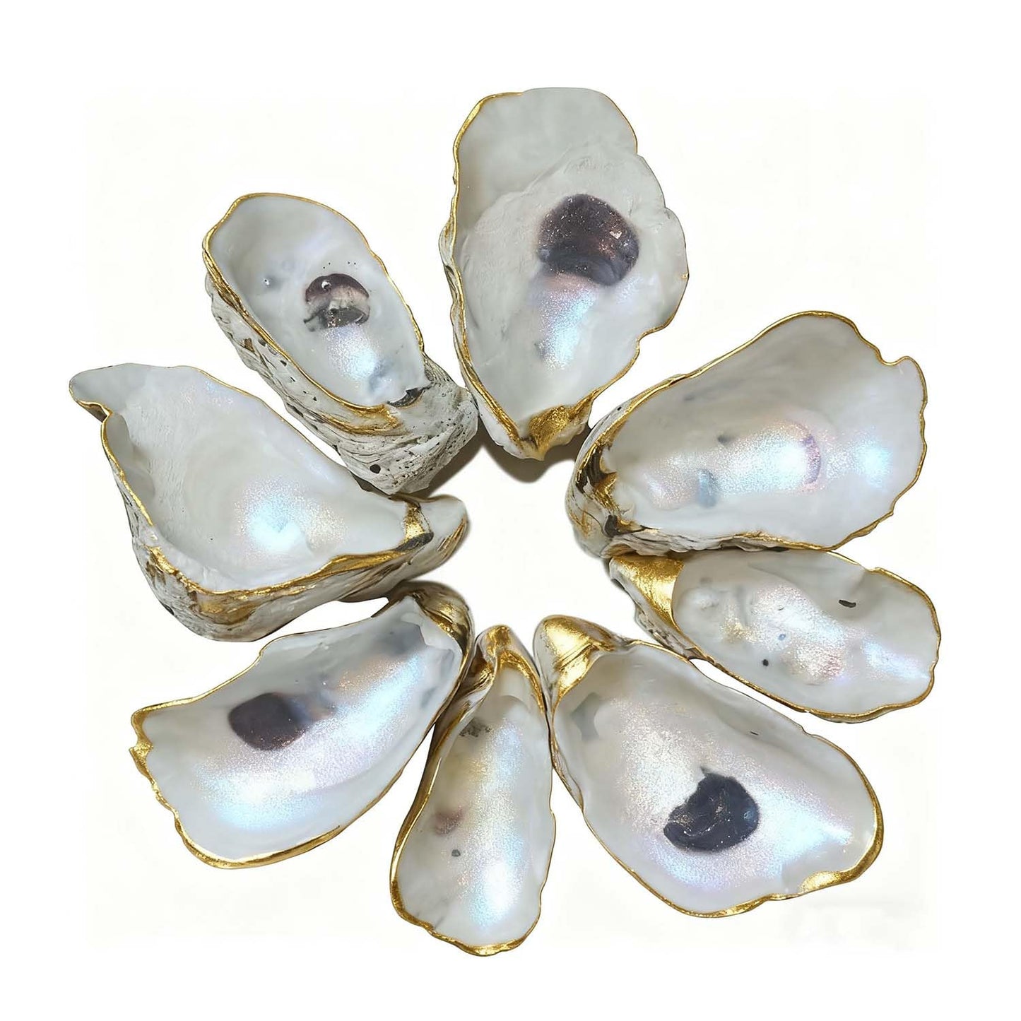 Dual Dou Natural Concave Oyster Shells for Crafts 3"-4" Large Oyster Shells Bulk for Home Vase Shell Painting, Beach Wedding & Christmas Decor, Vase Filler, DIY Home Decor, Craft Shells of 20pcs