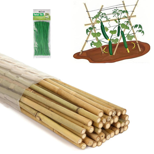 5 Ft Bamboo Stakes with 100 Twist Ties Natural Bamboo Garden Stakes for Tomatoes Cucumber Grapes Pole Beans Trees Potted Dahlia Flowers and Climbing Plants - Pack of 20 (58in, Approx 5FT)