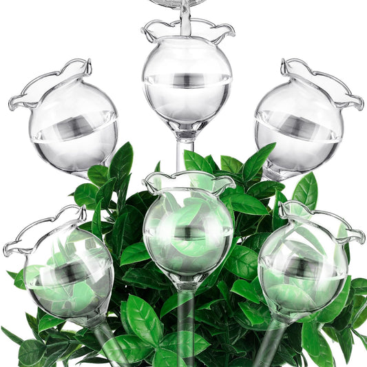 Yungyan 6 Pcs Self Watering Plant Globes Glass Insert Watering Devices Automatic Plant Water Bulbs Water Globes for Indoor Outdoor Plants(Clear Tulip,5.31 Inch)