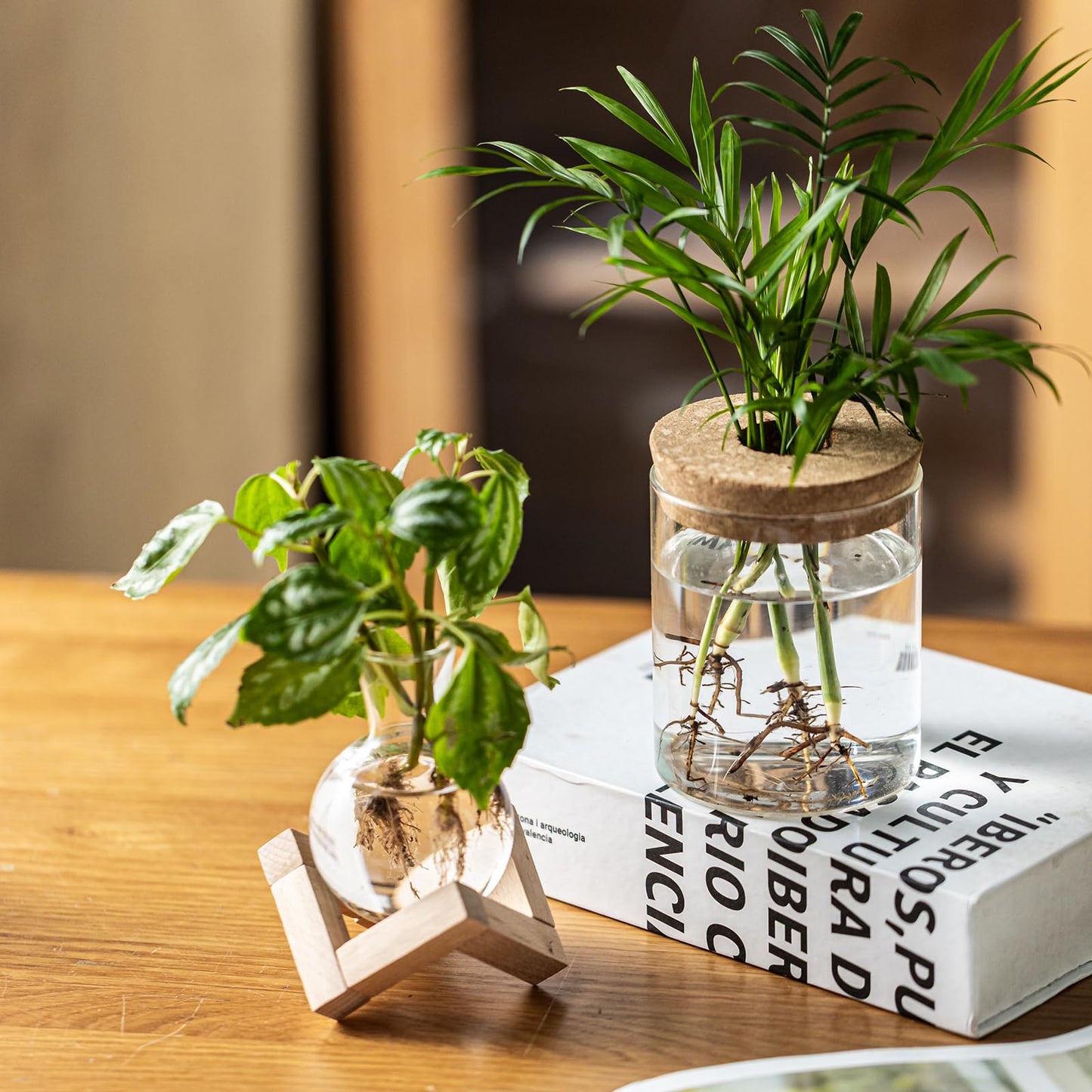 JGKYLDZ Plant Propagation Station, 2 Style Glass Planter Terrarium Set for Hydroponic Plants | Home Office Tabletop Decor, Gardening Gifts for Women, Mom, Plant Lovers (12)