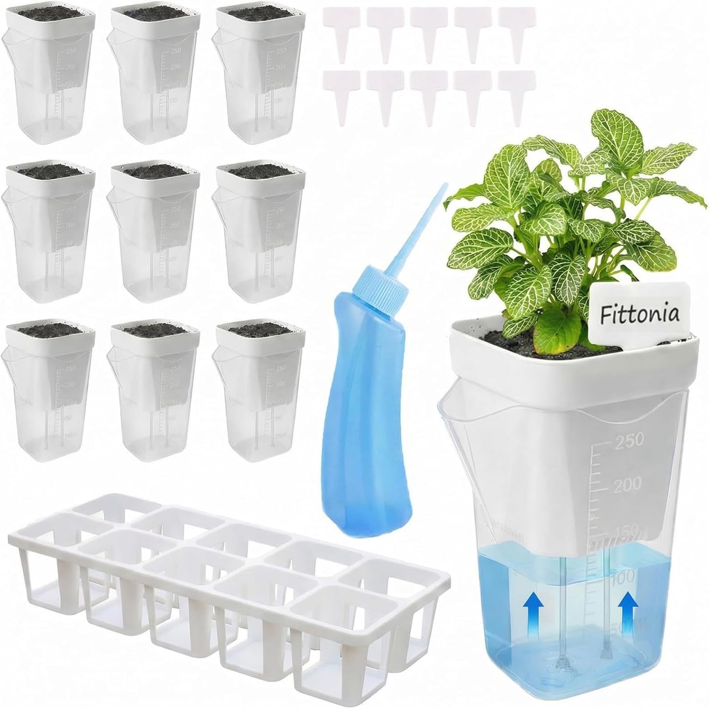 DIGARDPRO 10 Pack 2.5" Self Watering Pots for Indoor Plants with Anti-Tip Tray & Reservoir Refill Bottle, Seed Starter Kit for Seedlings, Cuttings, Succulents, Herbs, 10 Plant Labels