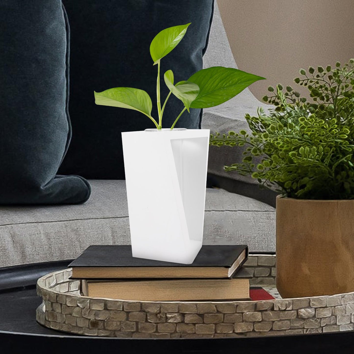 minkissy Test Tube Glass Vase with White Wooden Rack Small Hydroponic Plant Holder for Indoor Wall Garden Terrarium Home Décor