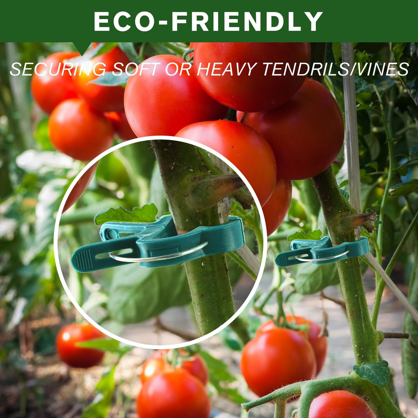 Iniscape A Plant Clamp Used for Climbing Plants,Horticultural Clip Used to Support Climbing of Flower Stems, Vines, Vegetables, and Tomatoes,Vine Clip for Garden Vine Training (Green, 120small)