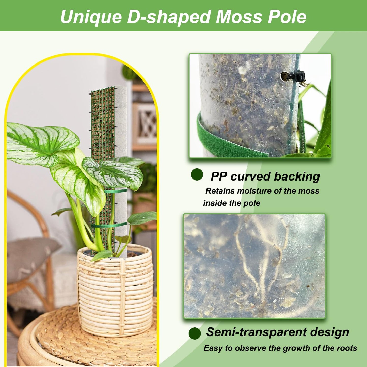 70" Metal Moss Pole, D Shape Sphagnum Moss Pole, Moss Poles for Climbing Plants, Monstera, Indoor Climbing Plants (2Pcs 70")
