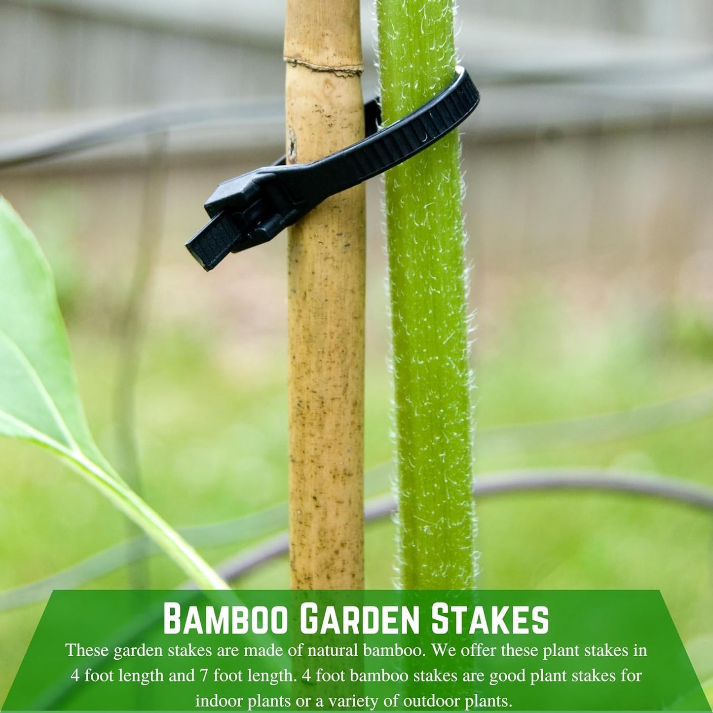 Farm Plastic Supply - Bamboo Garden Stakes - Bambo Sticks, Bamboo Plant Stakes for Outdoor Plants, Plant Support Stakes for Indoor Plants (4 Foot, 20)