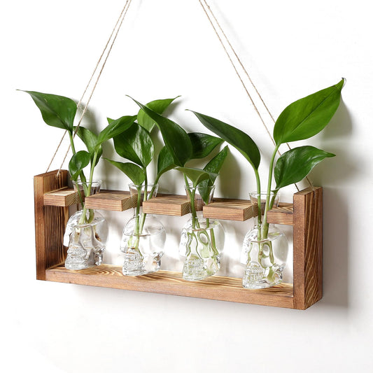 CYZglass Plant Propagation Stations Halloween Skull Plant Terrarium Kit Glass Vases Gift for Father Air Planter Home Office Decor