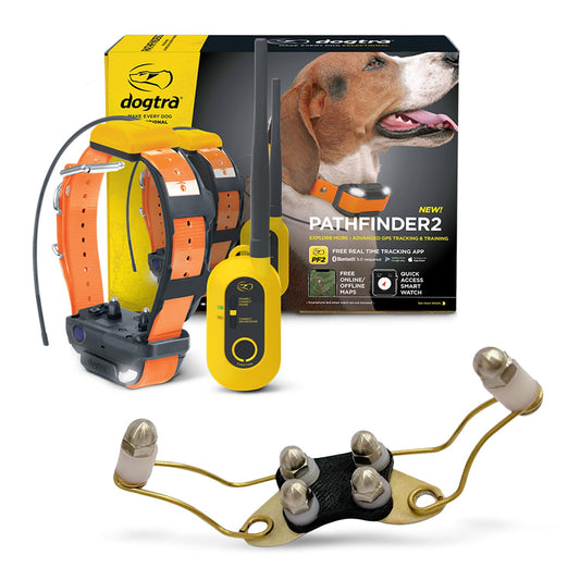 Dogtra Pathfinder 2 GPS Tracker e Collar + Titanium Enhanced Contact | 9 Mile, LED Light, No Monthly Fees, Waterproof, Smartwatch Control, Satellite Tracking, Multiple Dogs, Smartphone Required