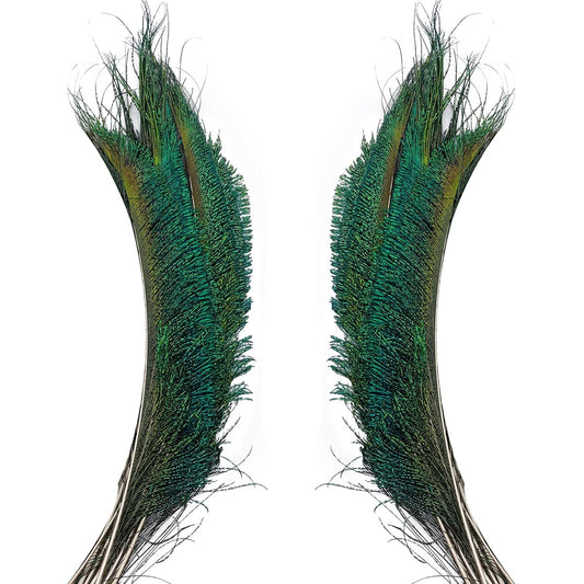50pcs Natural Peacock Sword Feathers 12-14 Inch for Home Decor Wedding Party Vase Decoration Hat Costume DIY Crafts Floral Arrangements Christmas Tree Ornaments (25 Left & 25 Right)
